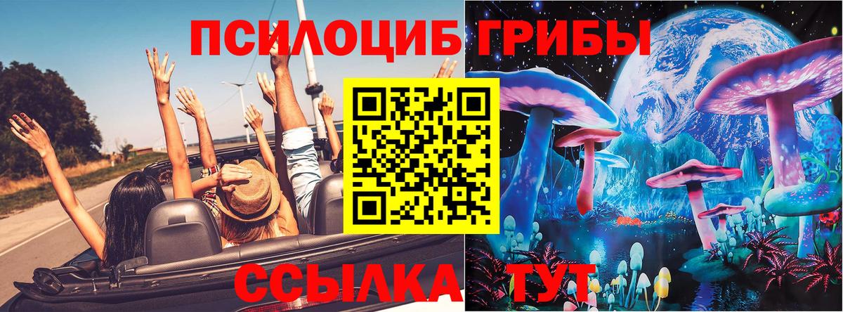 Псилоцибиновые грибы GOLDEN TEACHER Балашов