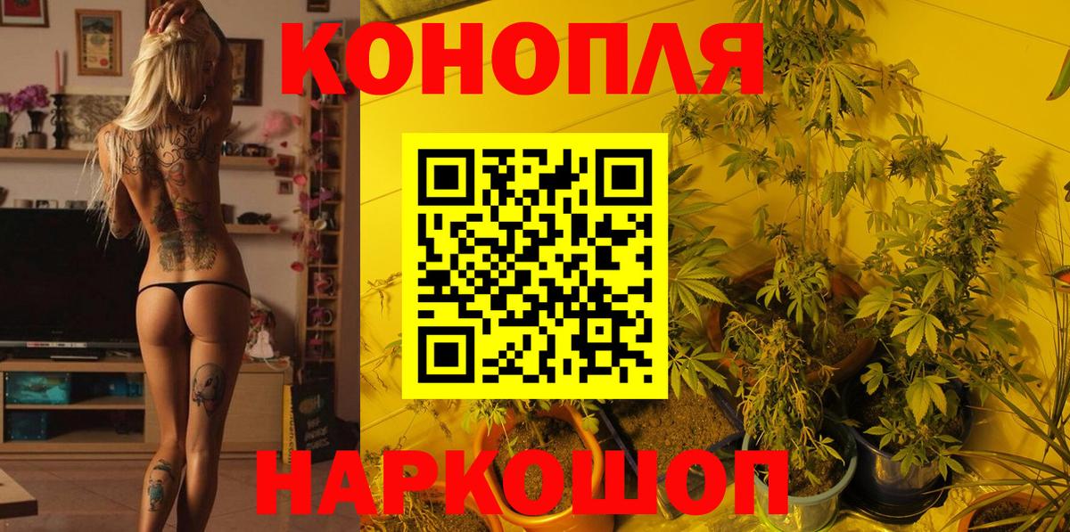 Бошки марихуана AK-47 Балашов